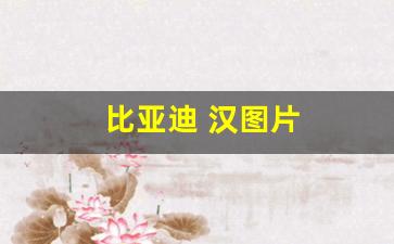 比亚迪 汉图片(比亚迪汉图片及报价)_https://www.huakunhengjia.com_财经资讯_第1张
